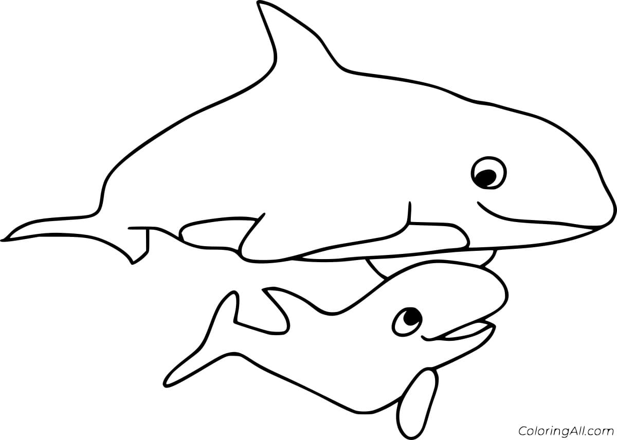 Simple Orca and the Calf Coloring Page