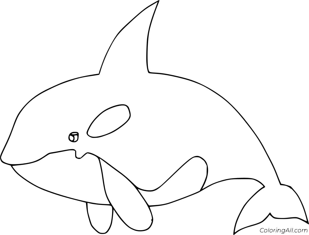 Simple Orca