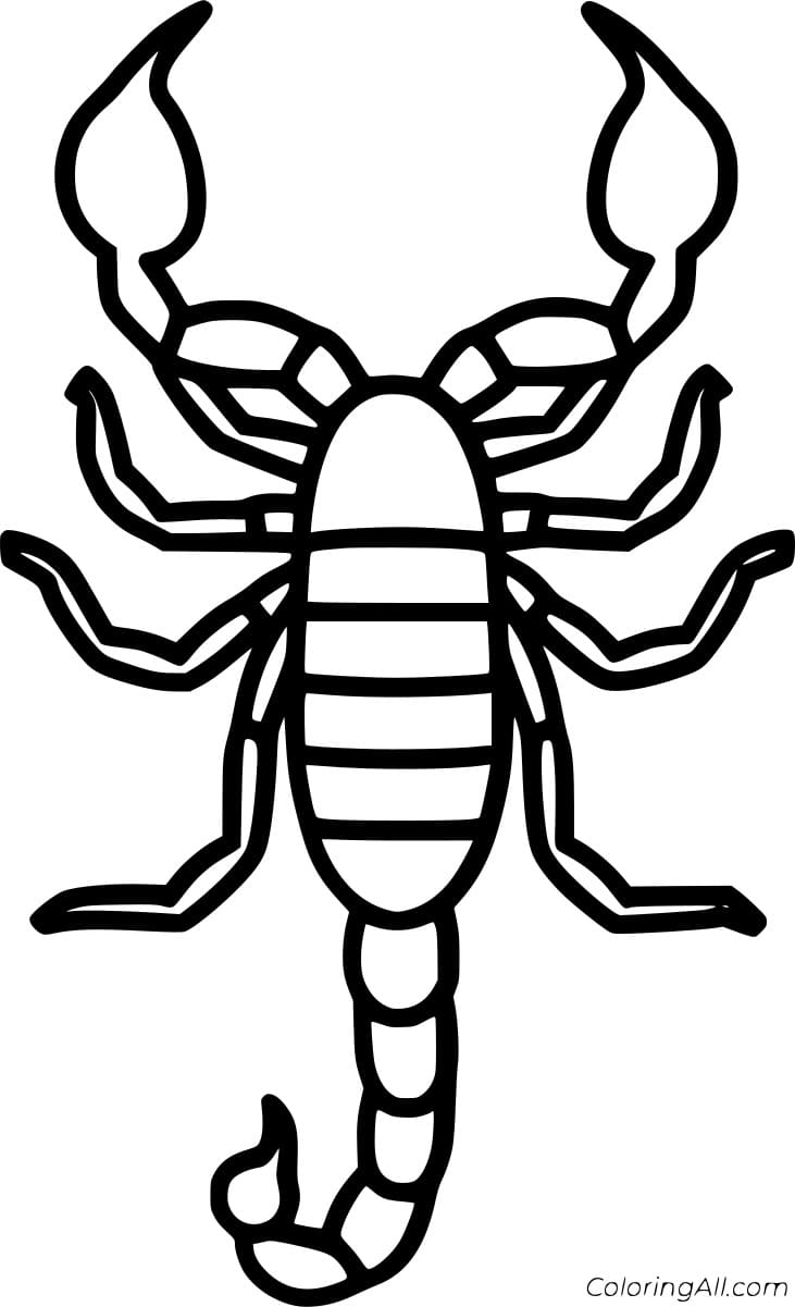 Simple Scorpion Picture Coloring Page