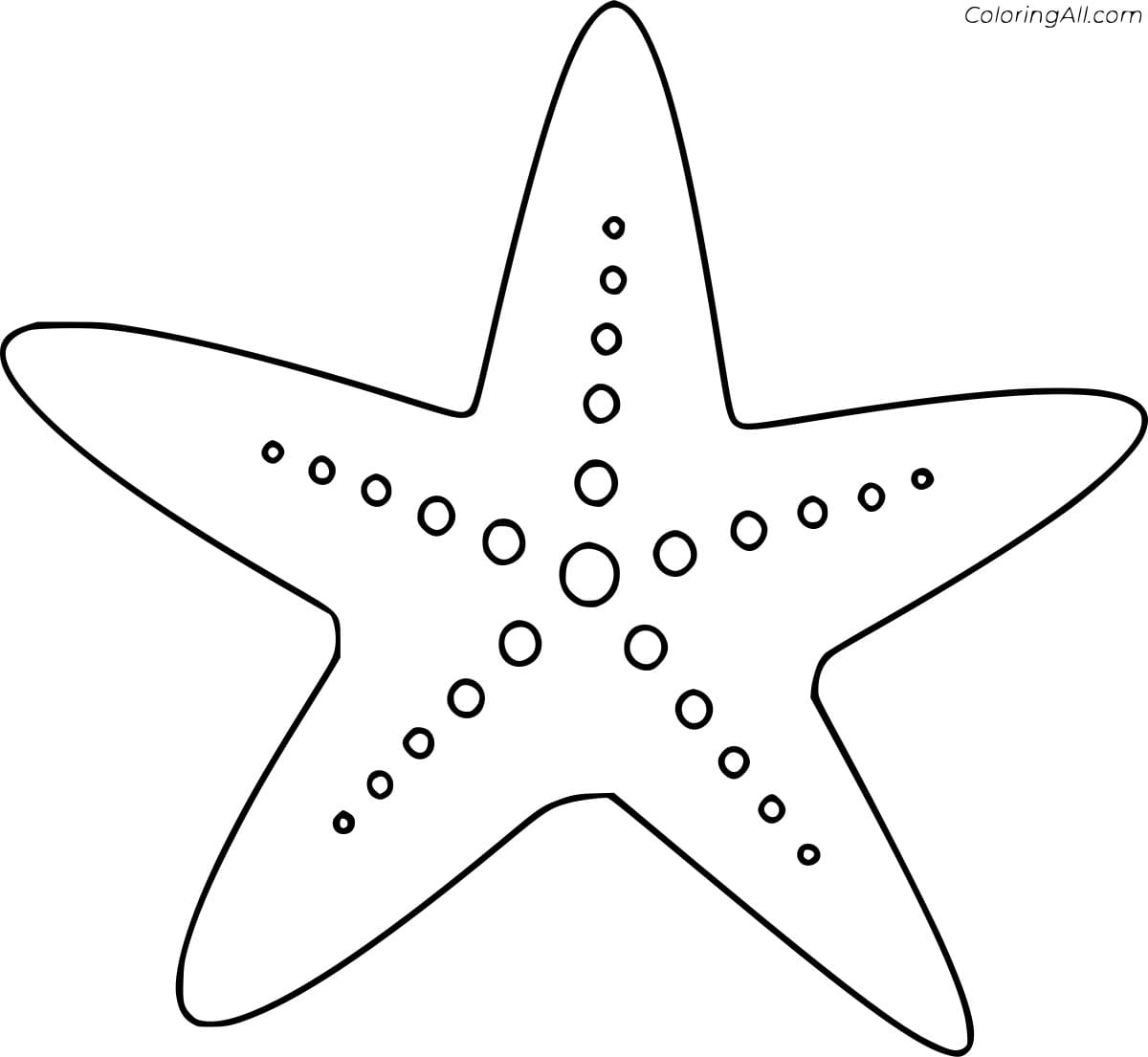 Simple Sea Star Image