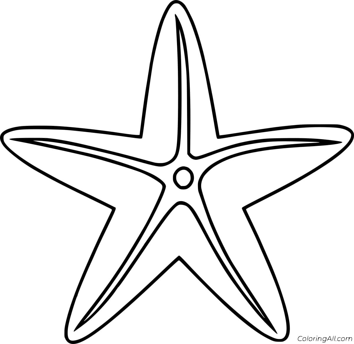 Simple Starfish Image