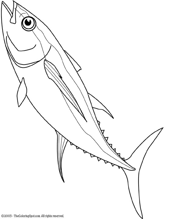 Simple Tuna Drawning Coloring Page