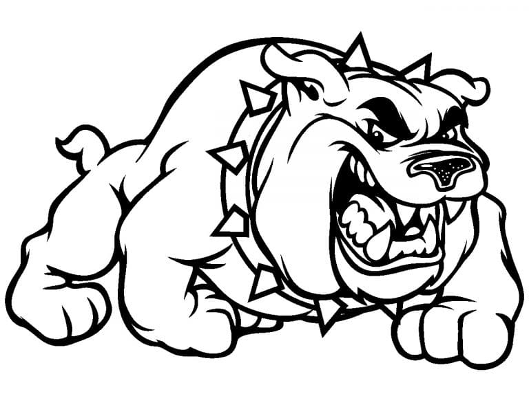 Sketch Of Bulldog Image