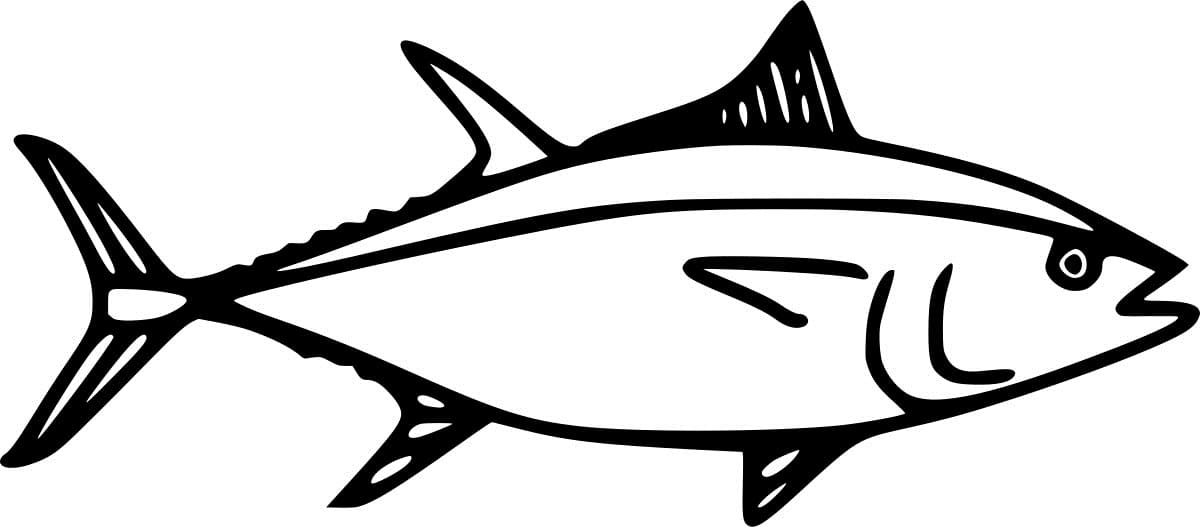 Skipjack Tuna Free Image Coloring Page