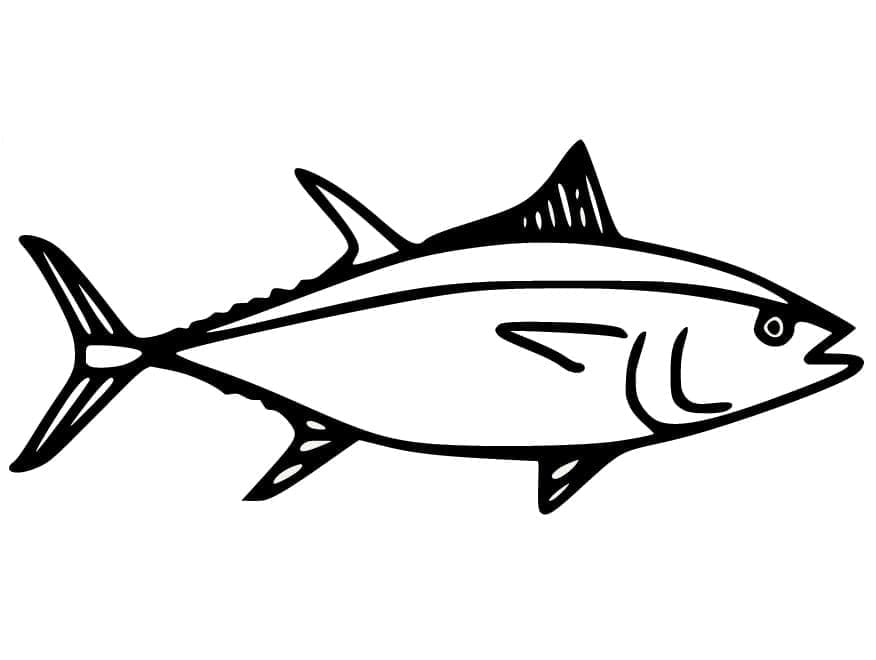 Skipjack Tuna Coloring Page