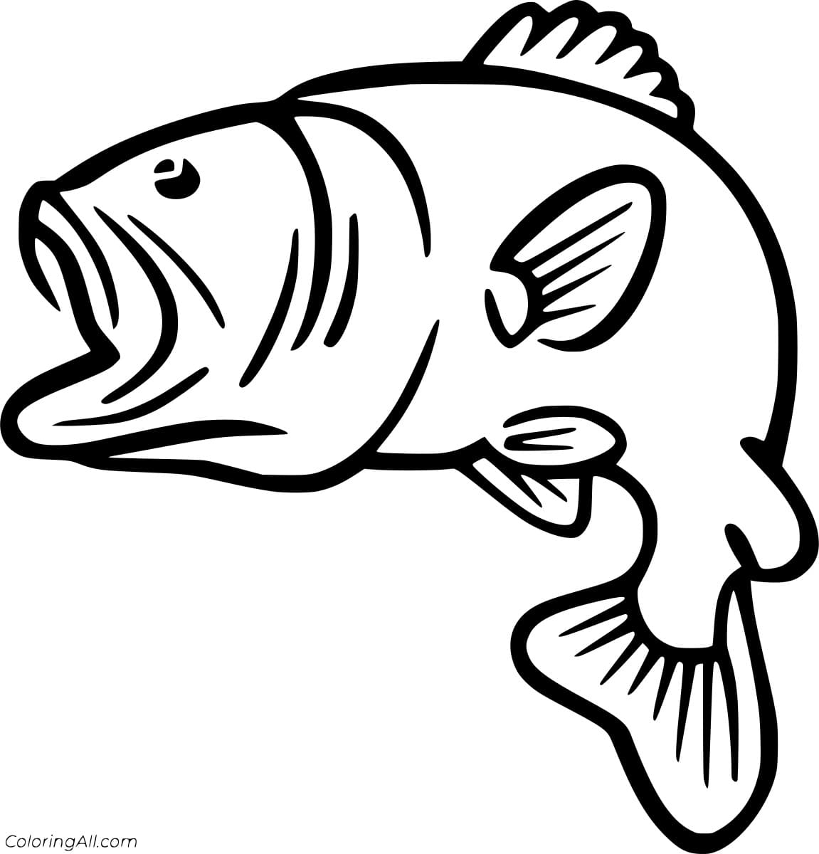 Spotted Bass Image Coloring Page