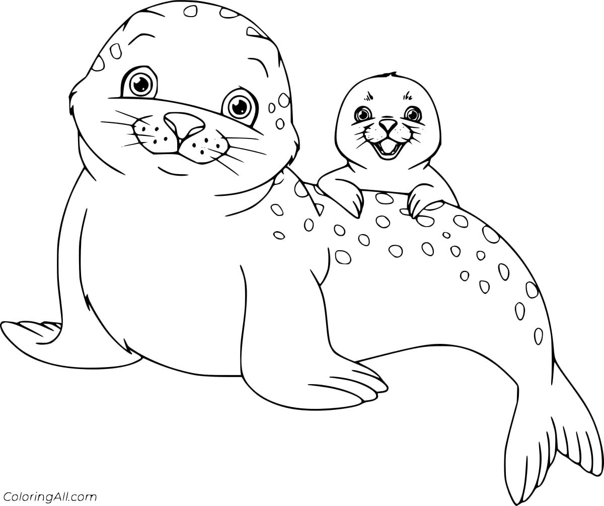 Spotted Seal and Cub Coloring Page