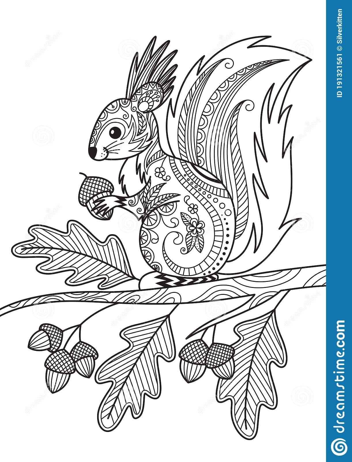 Squirrel Doodle Image