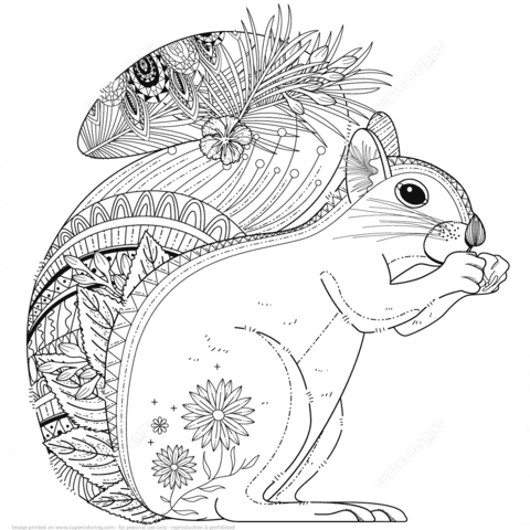 Squirrel Zentangle