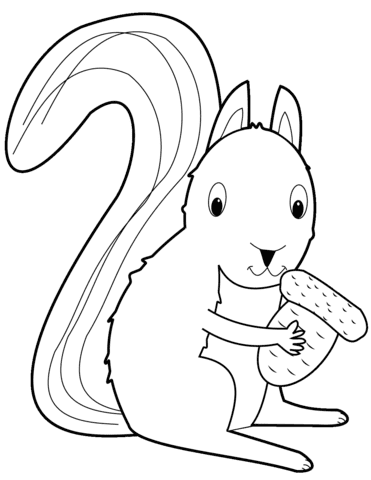 Squirrel with Acorn Image