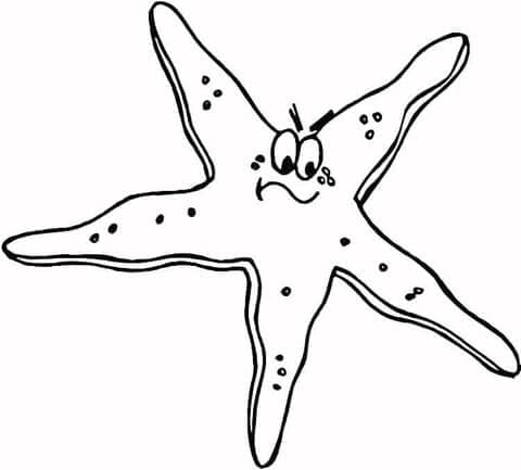 Starfish Coloring Image