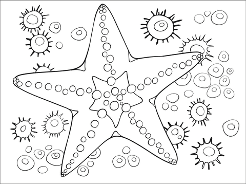 Starfish Coloring Image