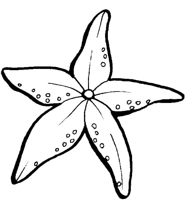 Starfish Cute Image Coloring Page