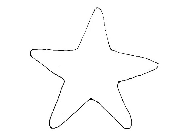 Starfish-Drawing-4