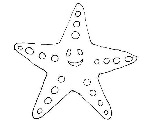 Starfish Drawing Step 5