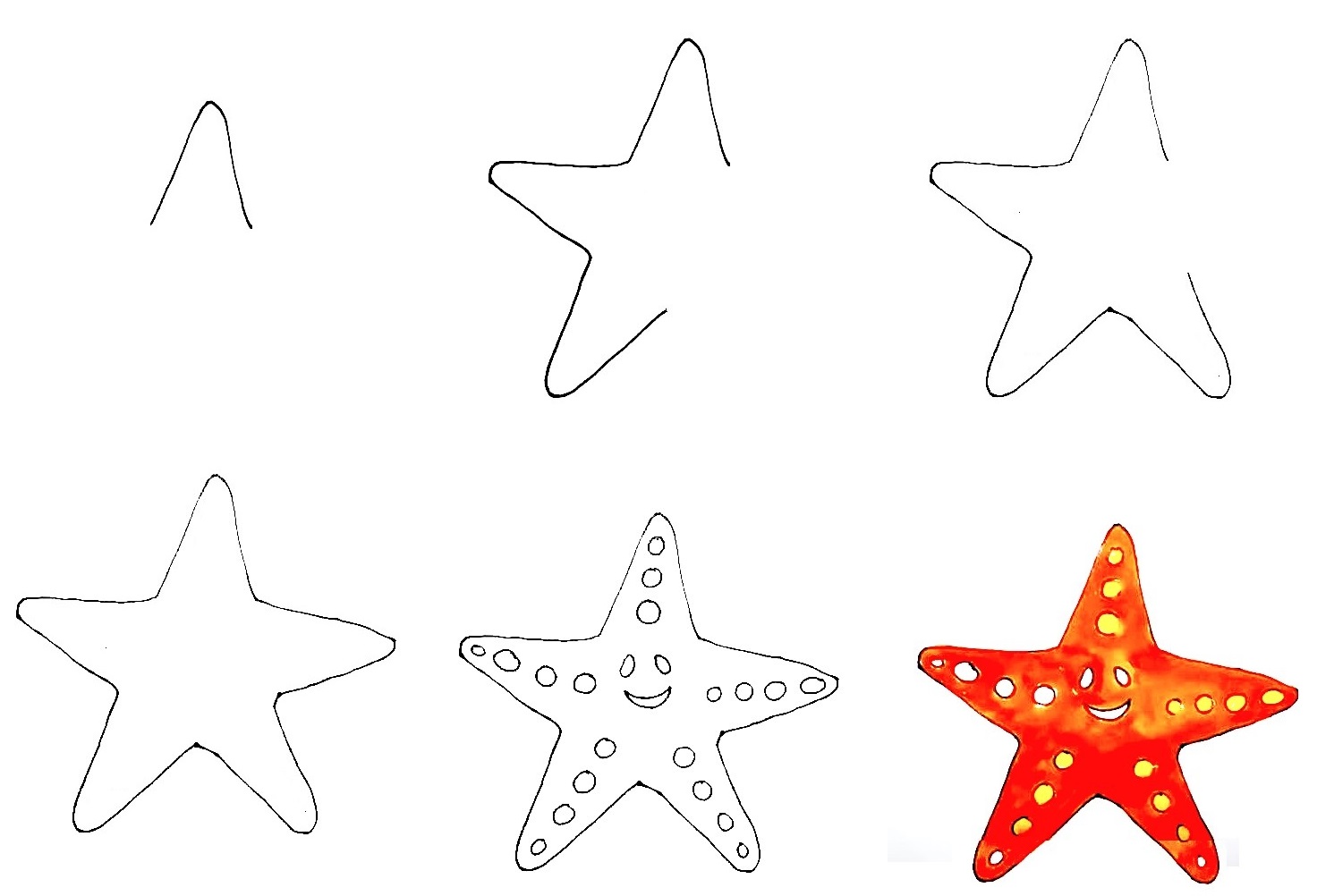 Starfish-Drawing