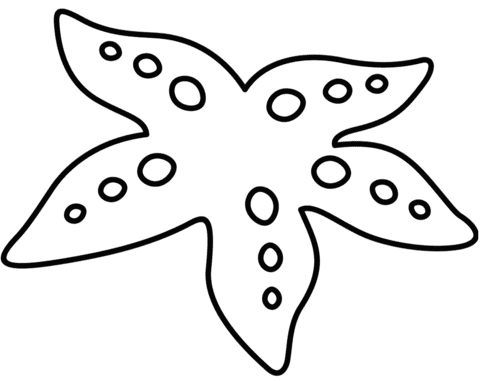 Starfish Image For kids