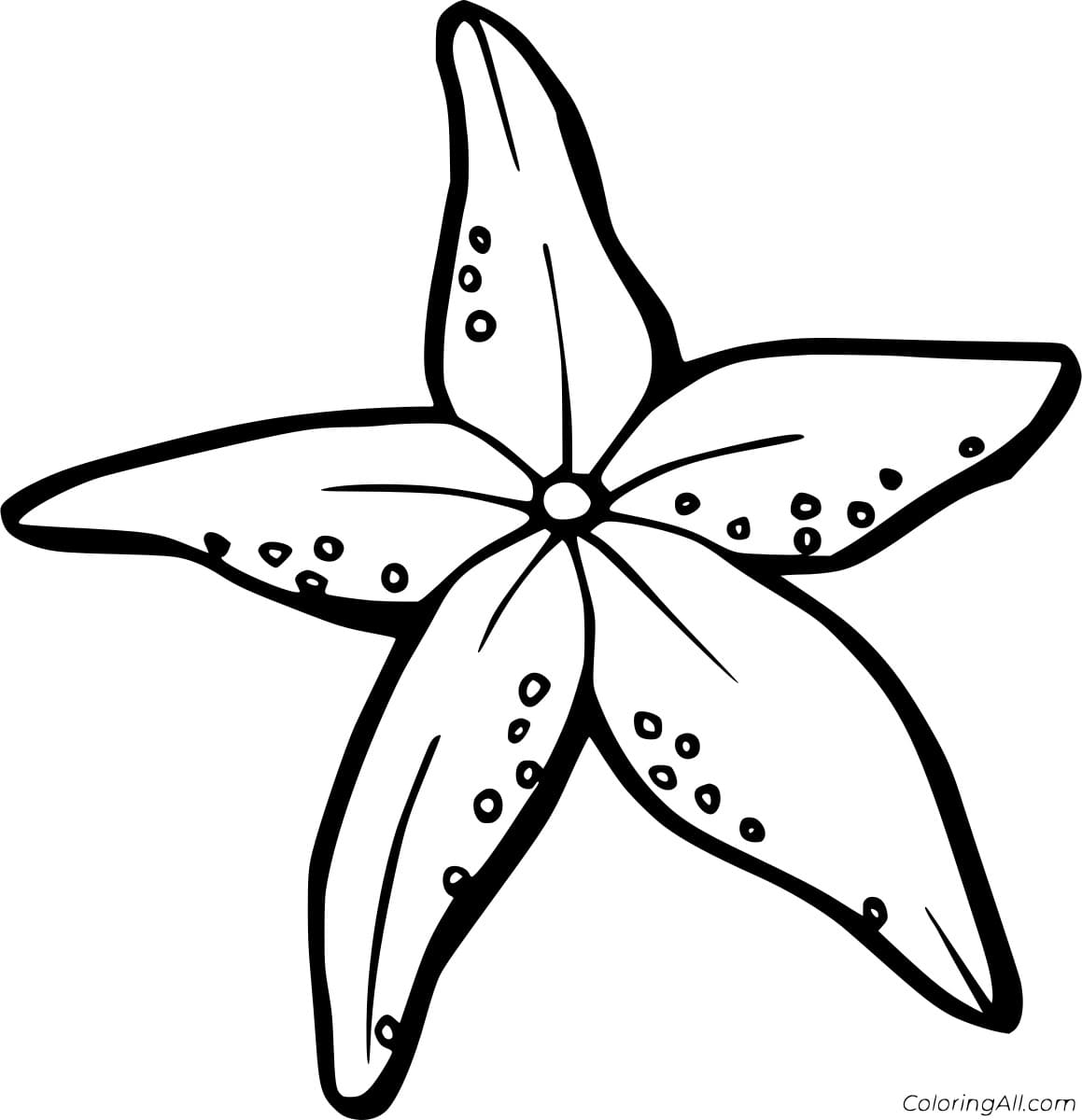 Starfish Likes Flower Image