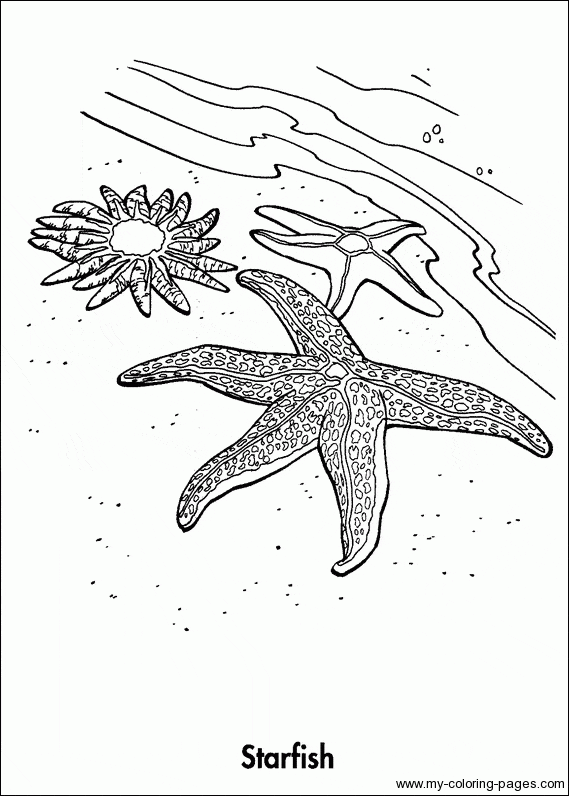Starfish To Print Coloring Page