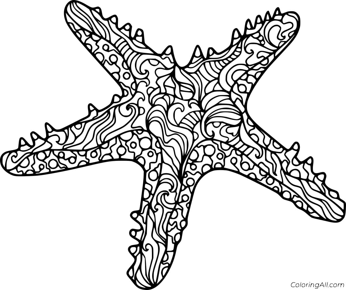 Starfish Zentangle Image Coloring Page