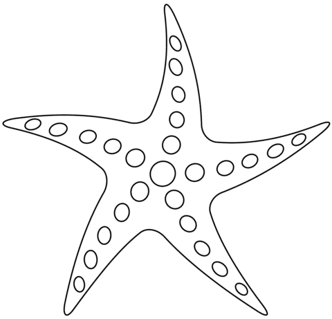 Starfish Kids