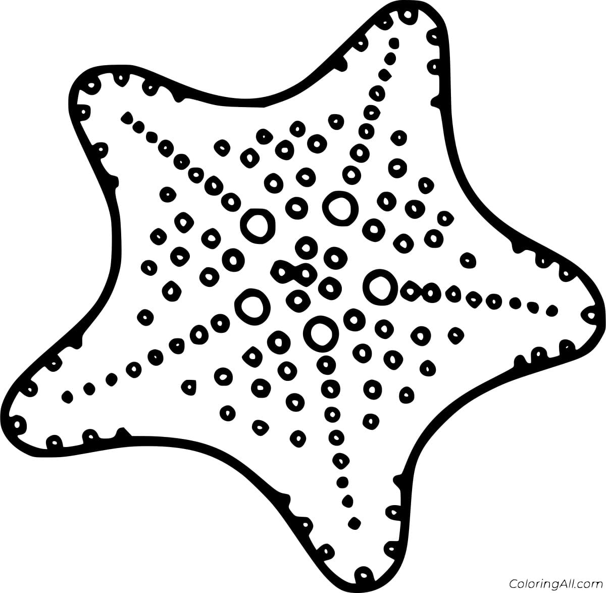 Starfish With Circle Patterns Image