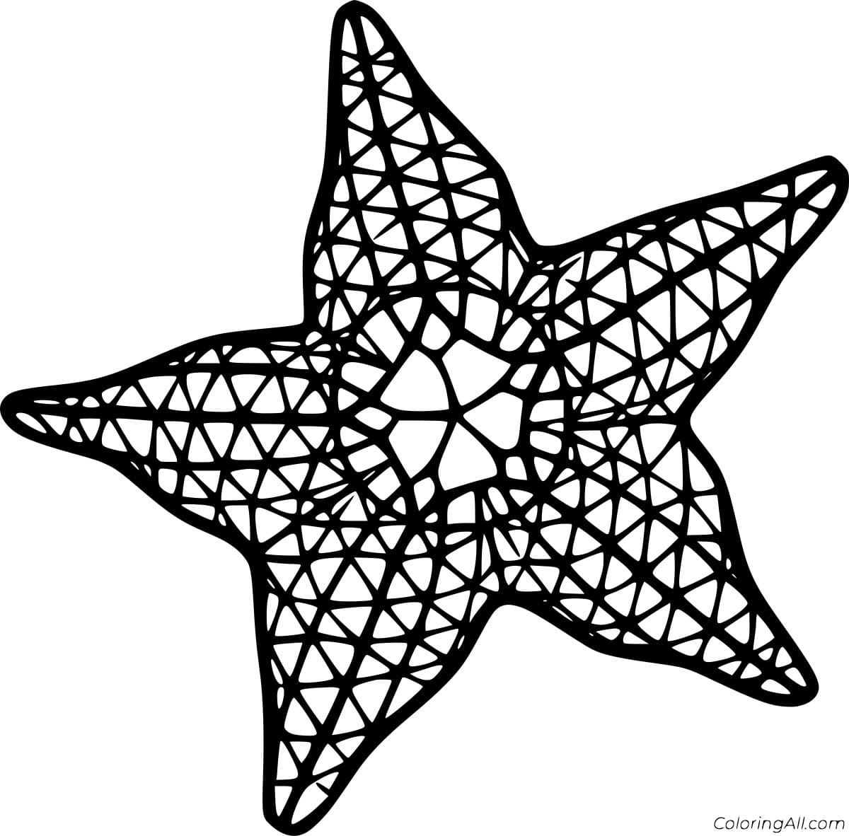 Starfish With Patterns Image