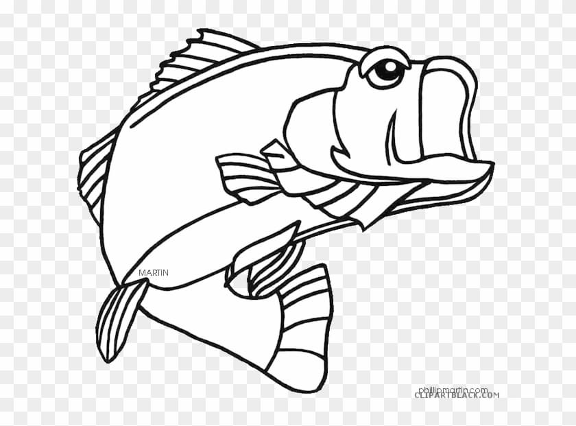 Striped Cute Bass Picture For Kids Coloring Page