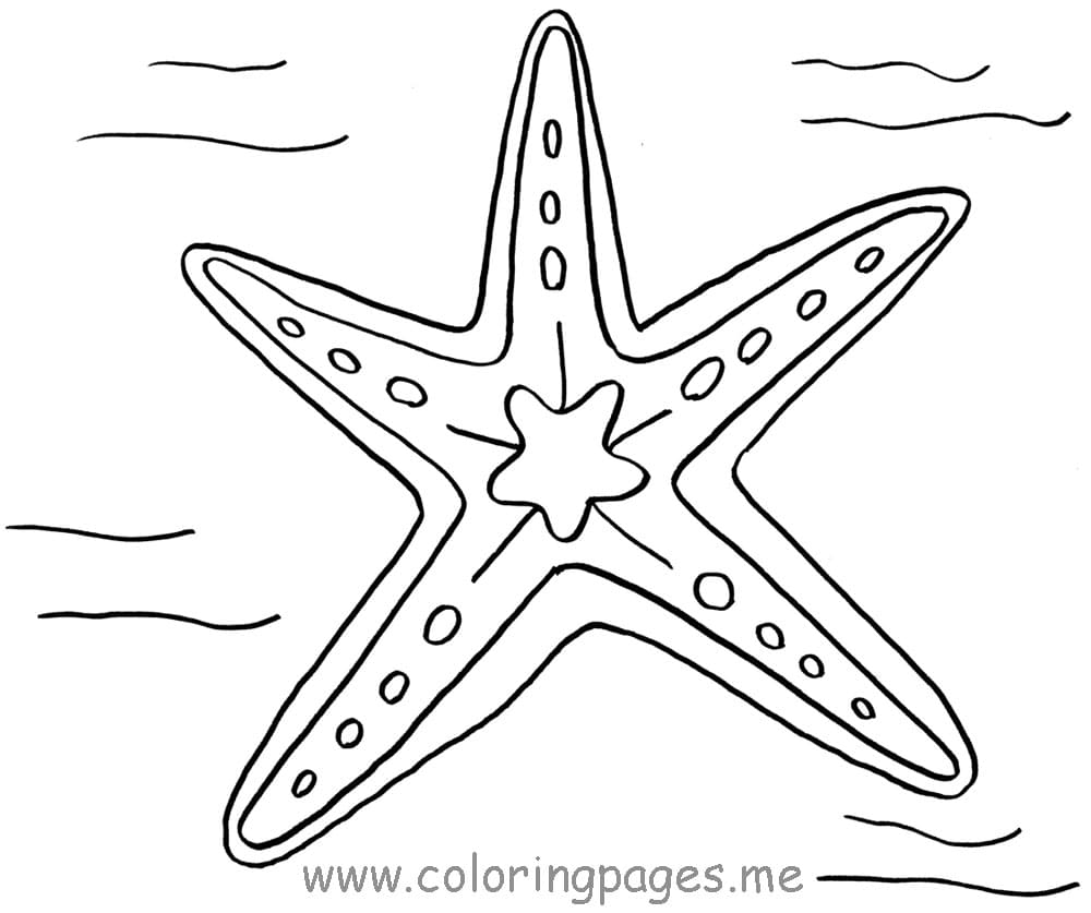 Sweet Starfish For Kids Image Coloring Page