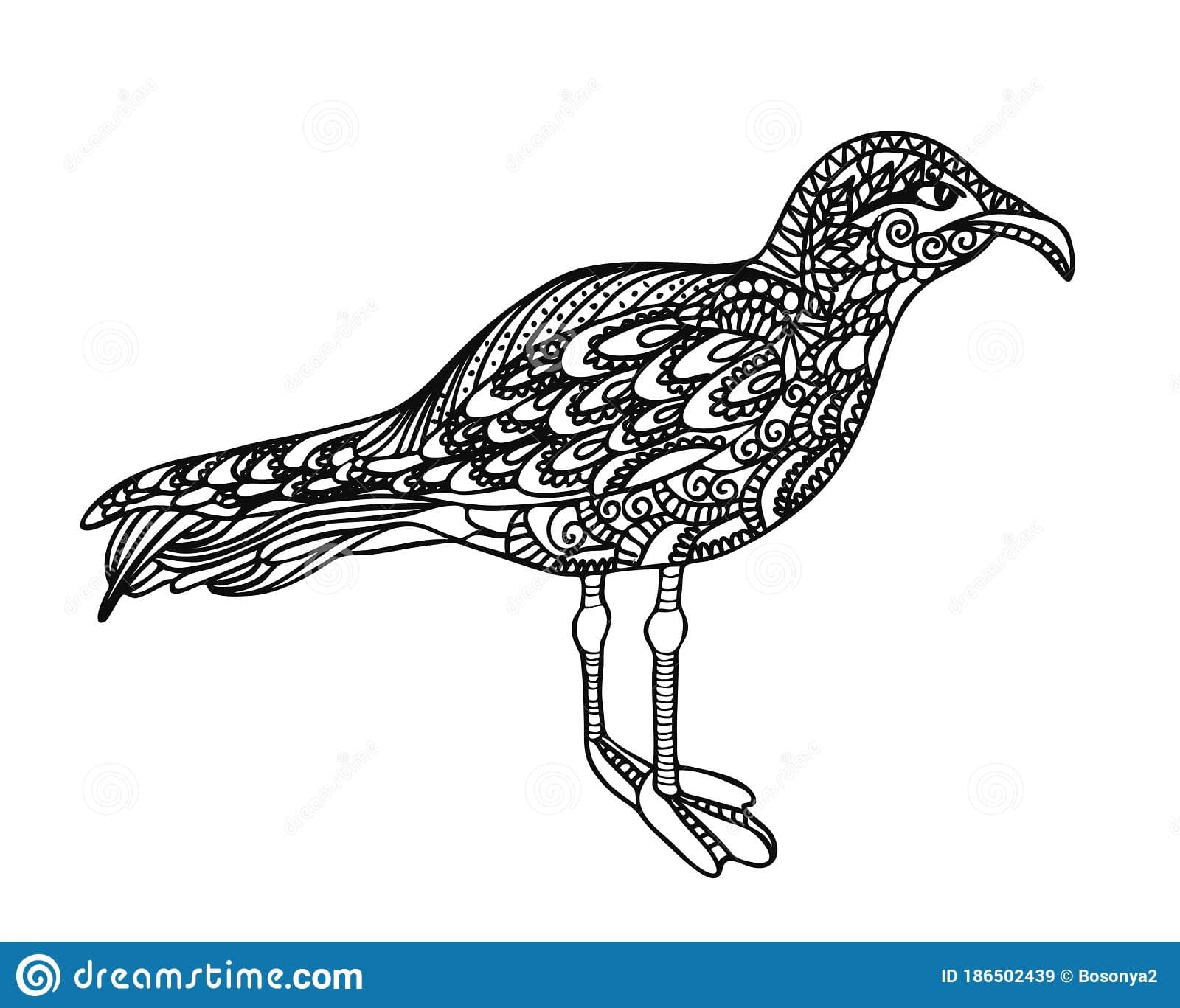 The Bird Is Black And White Image