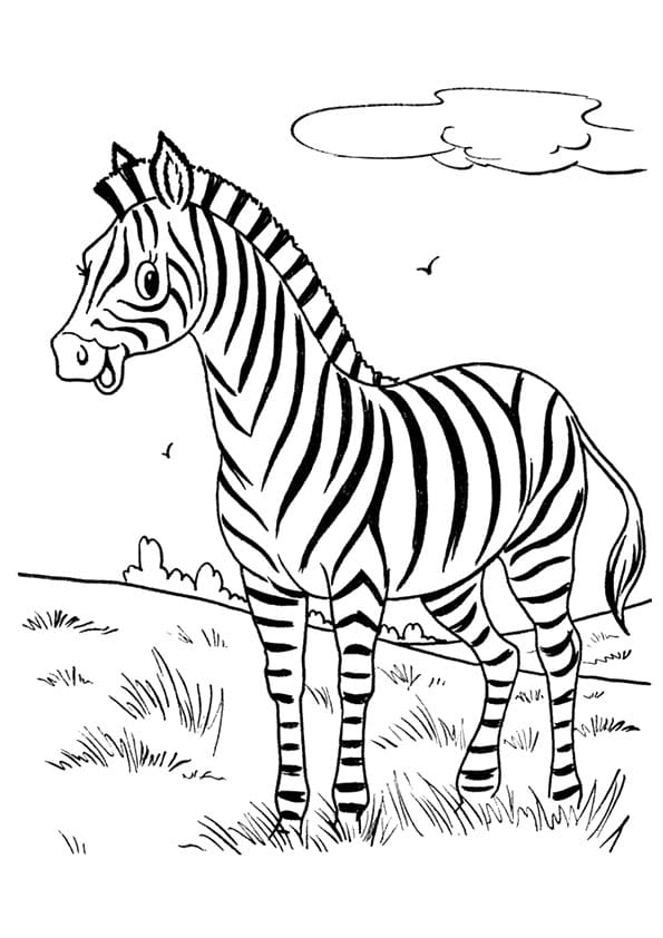 The Cute Zebra Coloring Page