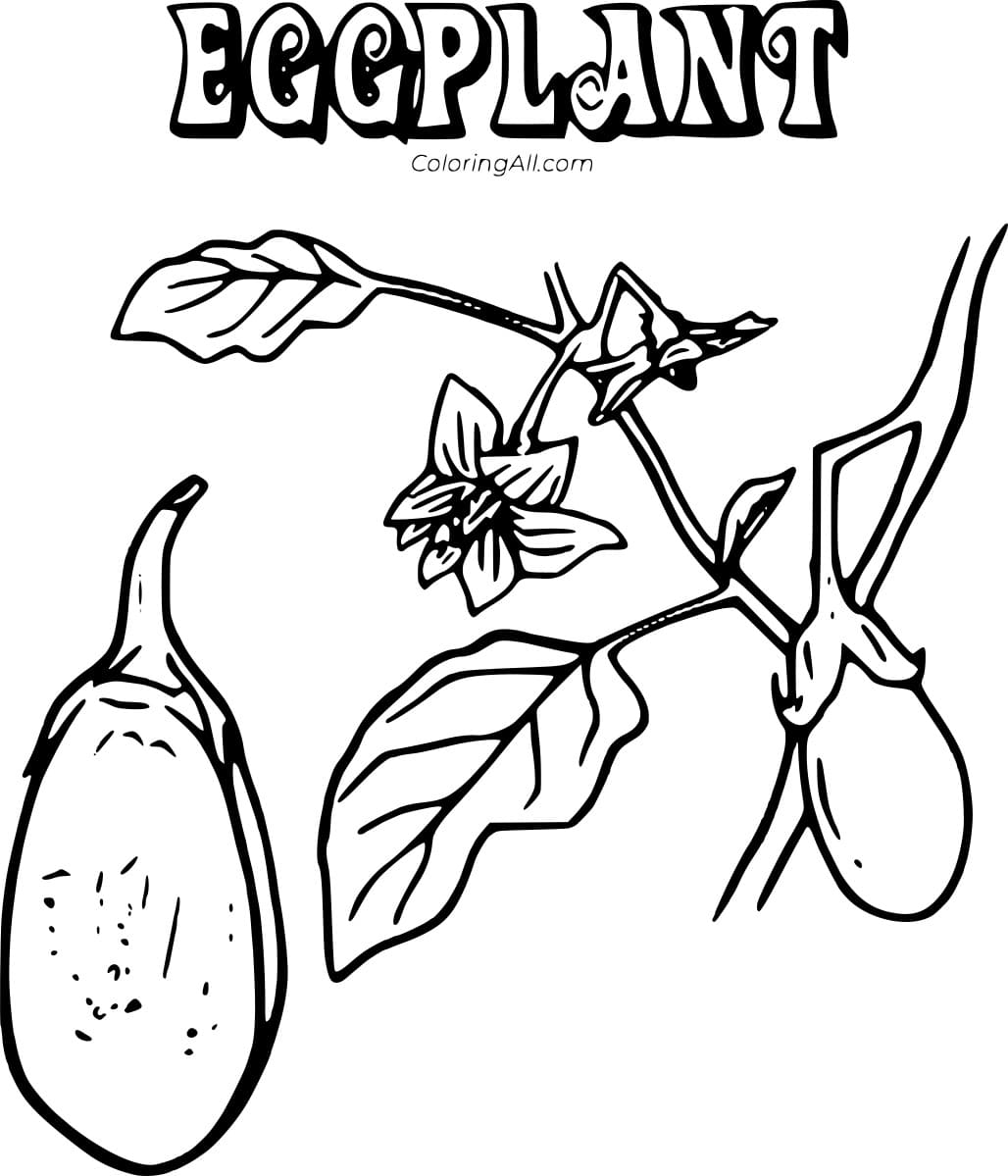 The Parts of an Eggplant Free Printable