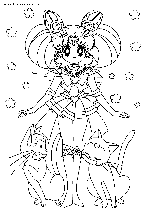 The Sailor Moon Luna Picture