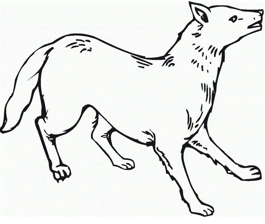 To Print Coyote Coloring Page