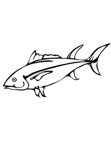 Tuna Coloring For Kids Coloring Page