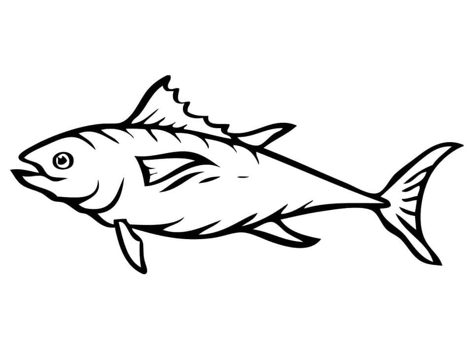 Tuna Fish Image