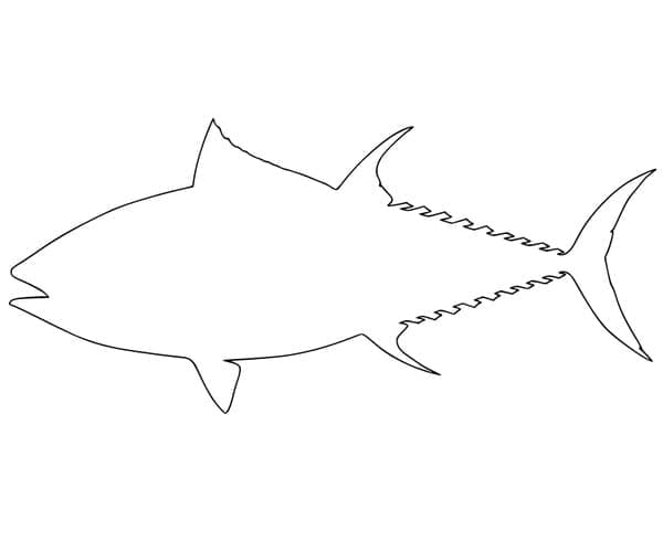 Tuna Fish Outline