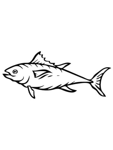 Tuna Fish Picture