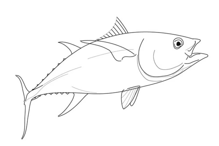 Tuna Painting Image Coloring Page