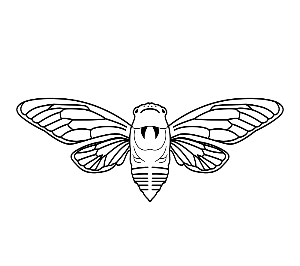 Two Cicada Image