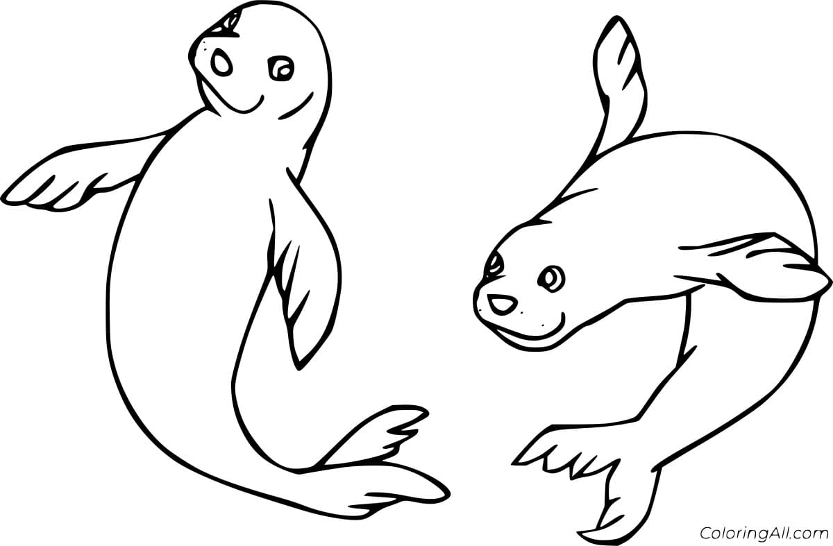 Two Seals Swimming Coloring Page