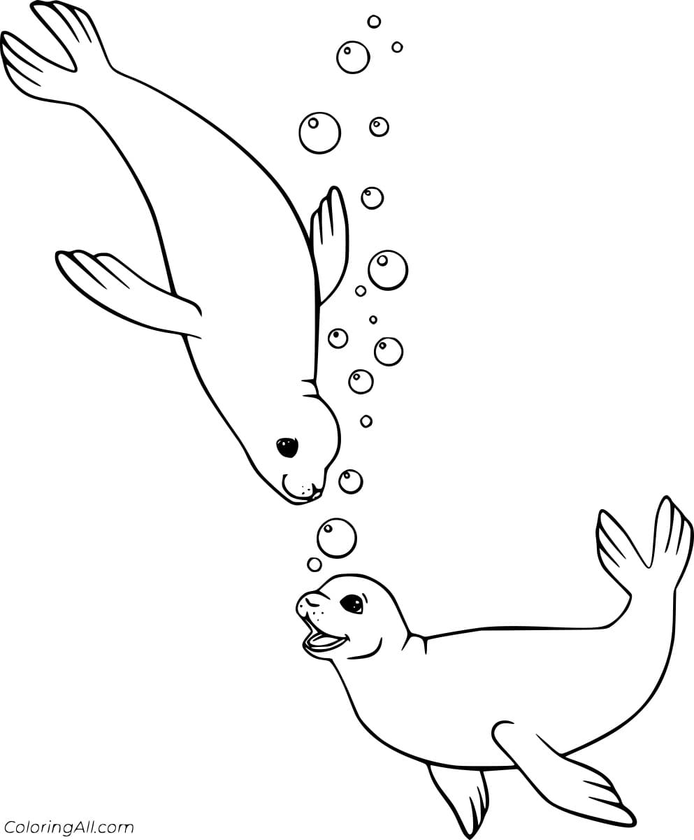 Two Seals With Bubbles Coloring Page