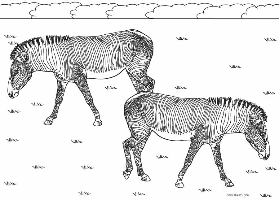 Two Zebras To Print Coloring Page