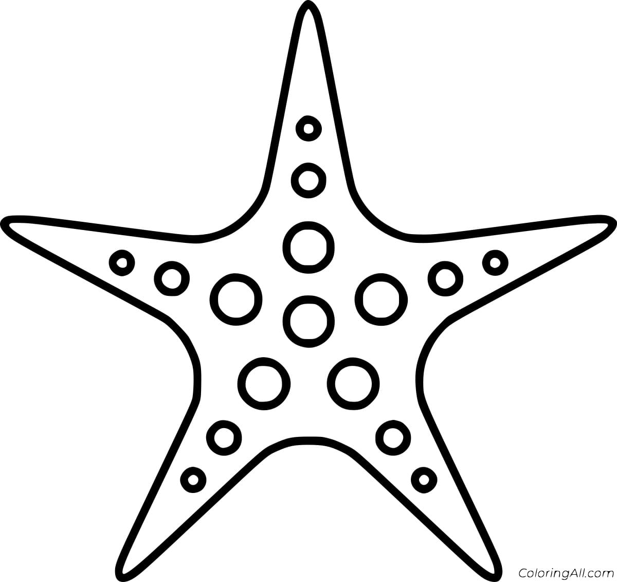 Vermilion Biscuit Sea Star Image Coloring Page