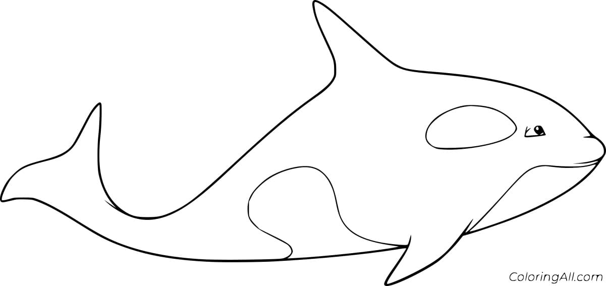 Very Easy Killer Whale Coloring Page