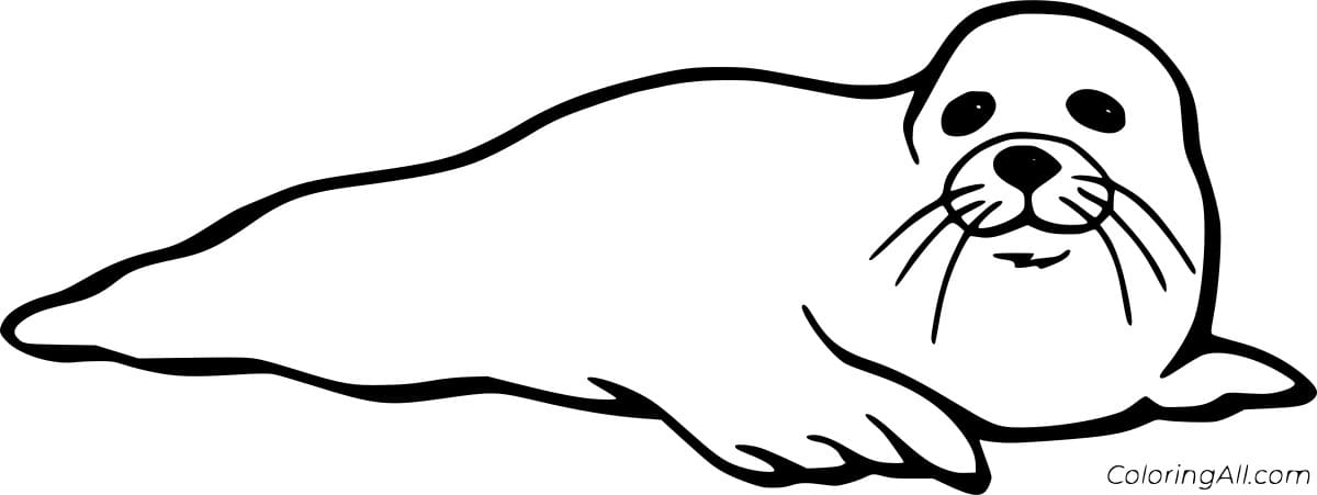 Very Easy Seal Coloring Page