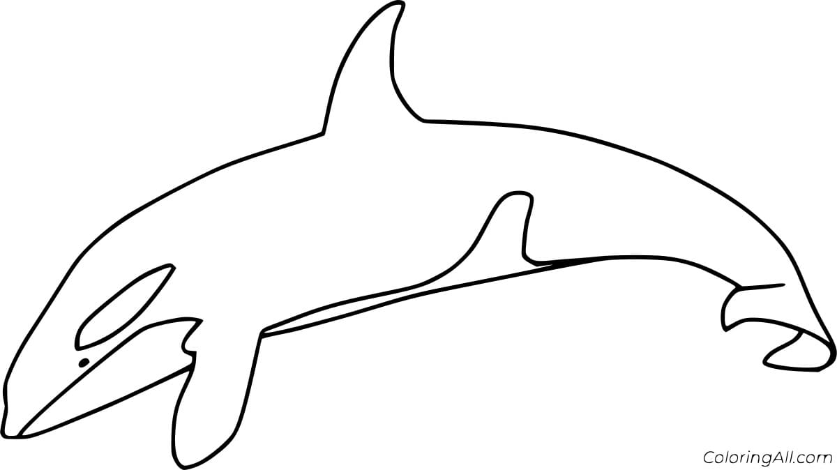 Very Simple Killer Whale Coloring