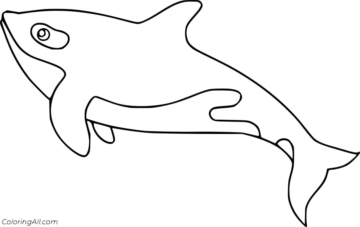 Very Simple Orca Coloring