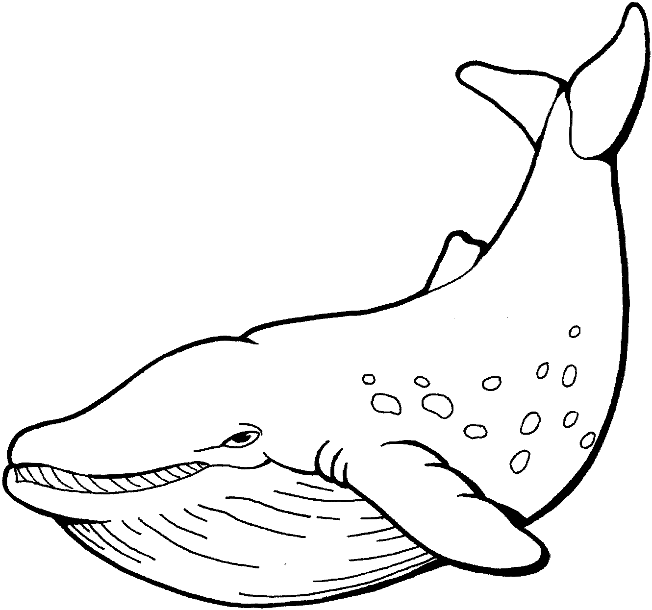 Whale Coloring Pages Cute Coloring Page
