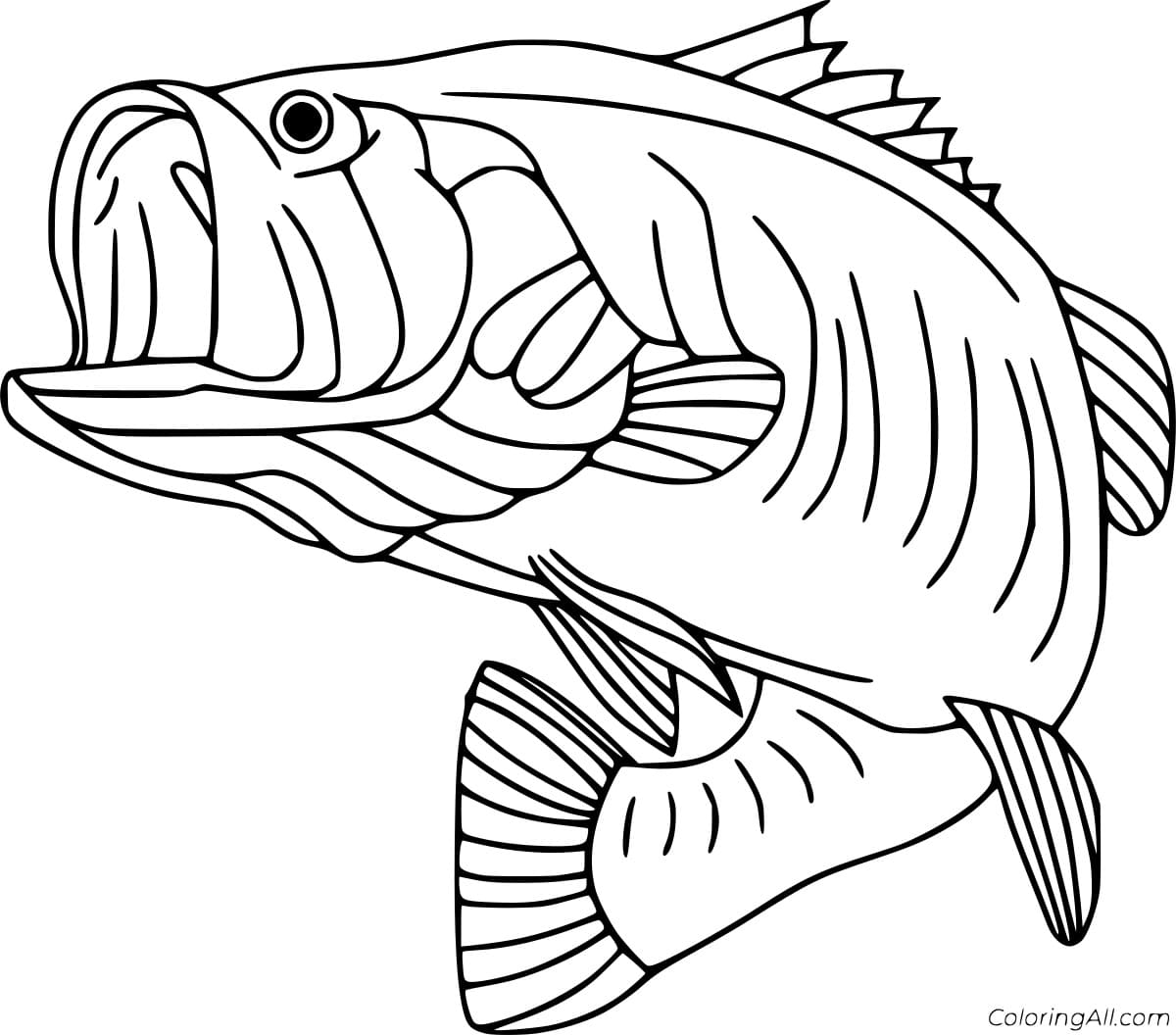 White Bass Image Coloring Page